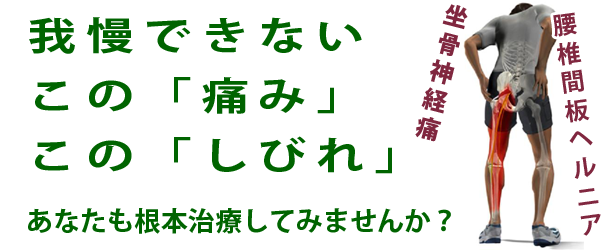 椎間板ヘルニア・坐骨神経痛の痛みやシビレ！根本治療をしてみませんか