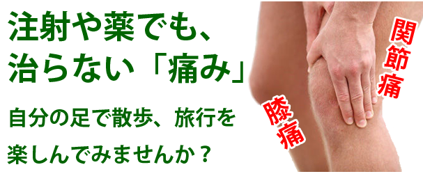 注射や薬でも、治らない「痛み」。自分の足で散歩、旅行を楽しんでみませんか？