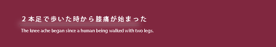 藤井寺・羽曳野・柏原の膝痛・関節痛治療